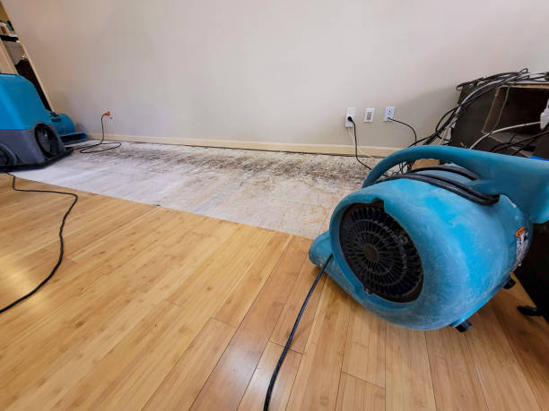 Professional Basement Flood Cleanup technician working in Grafton, OH